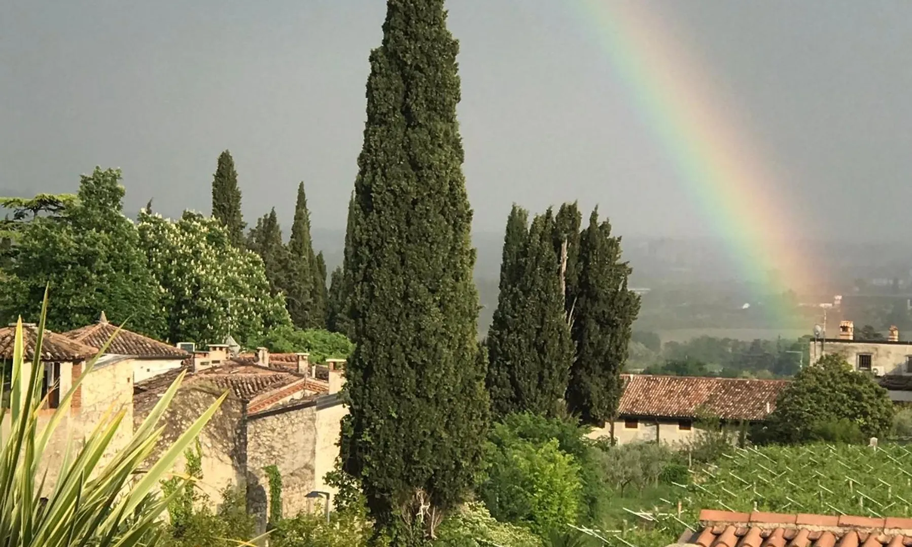 Bed & Breakfast Villa Archi B&B