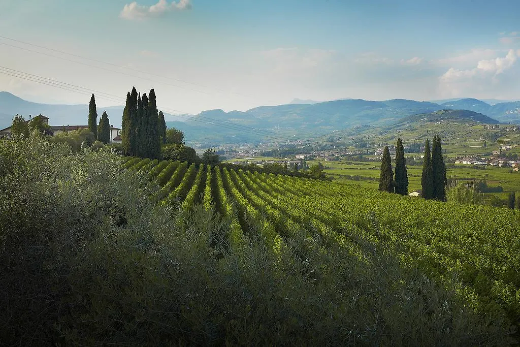 Bed & Breakfast Villa Archi B&B